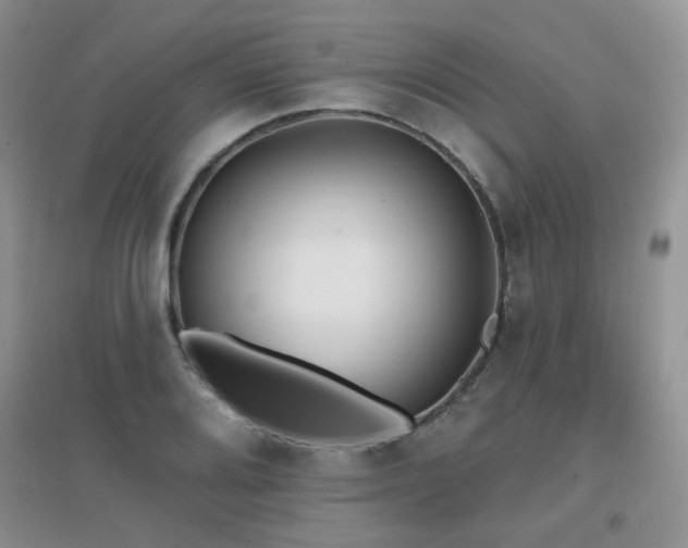 X0000096971080200802081247