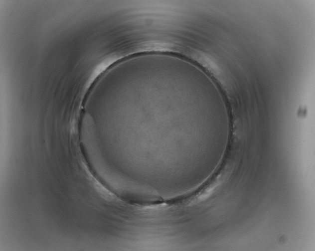X0000096971081200802081247