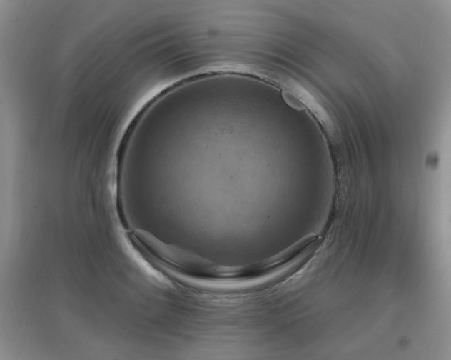 X0000096971084200802081247