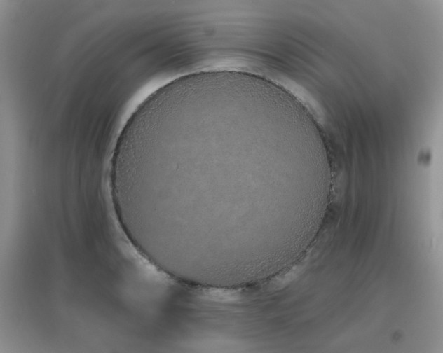 X0000096971086200802081247
