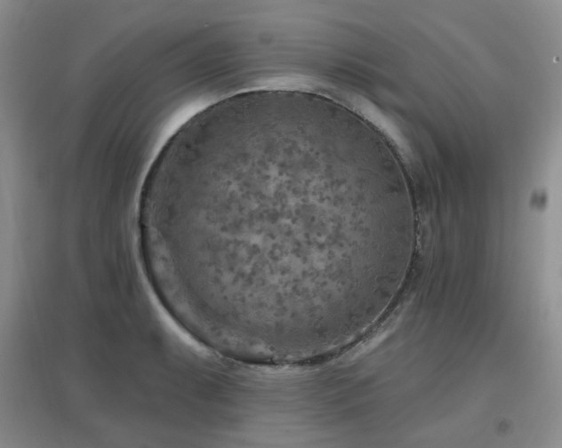 X0000096971087200802081247