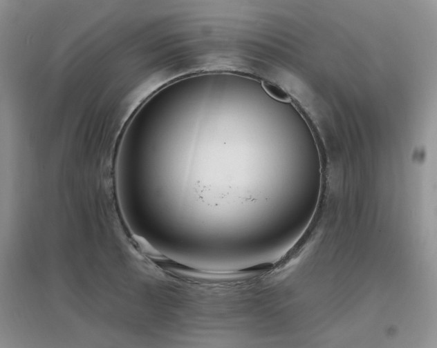 X0000096971089200802081246