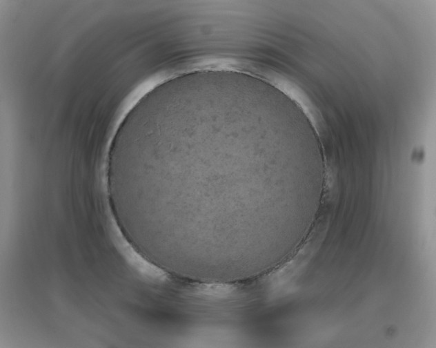 X0000096971090200802081246