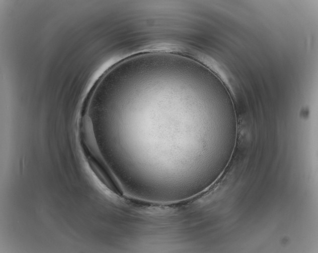 X0000096971091200802081246