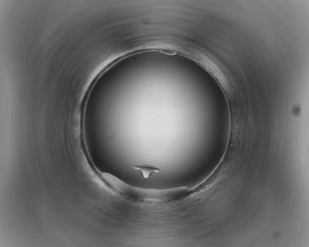 X0000096971092200802081246
