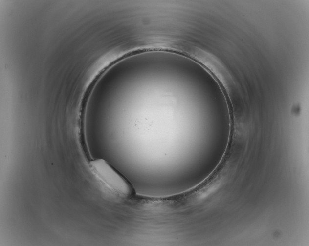 X0000096971093200802081246