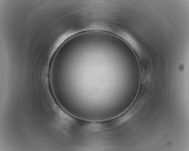 X0000096971094200802081246