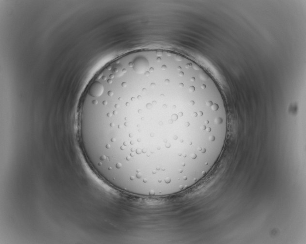 X0000096971095200802081246