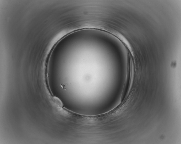 X0000096971096200802081246