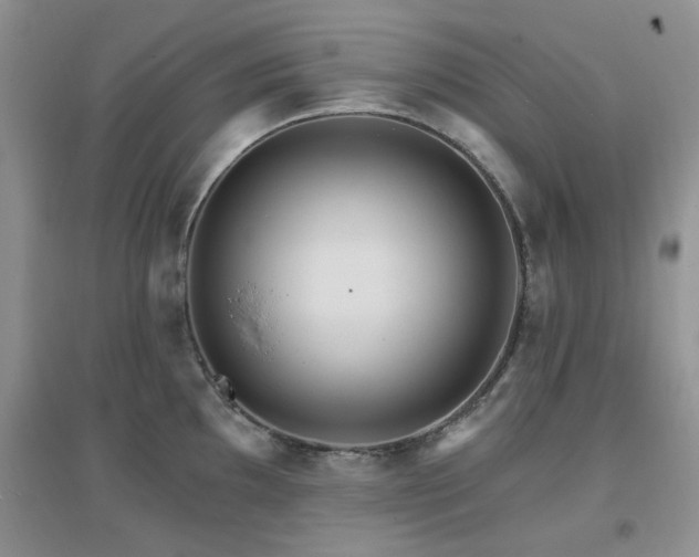 X0000096971097200802081246