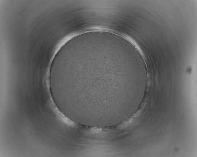 X0000096971098200802081246