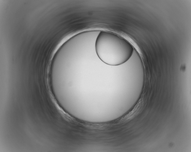 X0000096971101200802081246