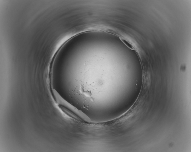 X0000096971103200802081246
