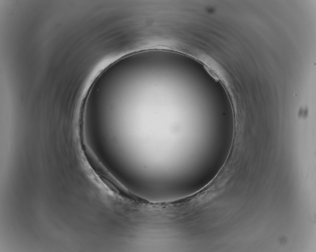 X0000096971104200802081246