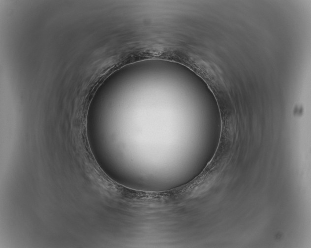 X0000096971105200802081246
