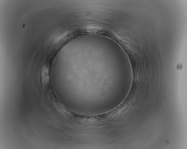 X0000096971106200802081246