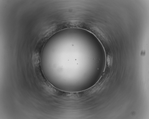 X0000096971107200802081246