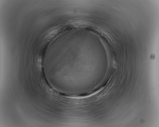 X0000096971108200802081246