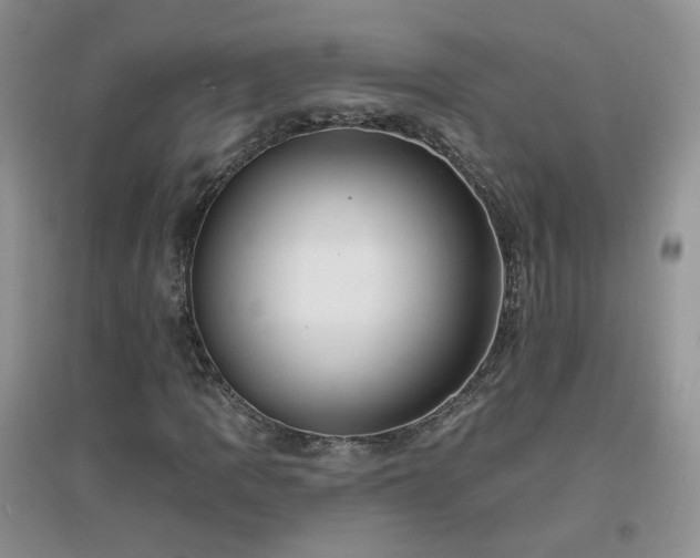 X0000096971109200802081246