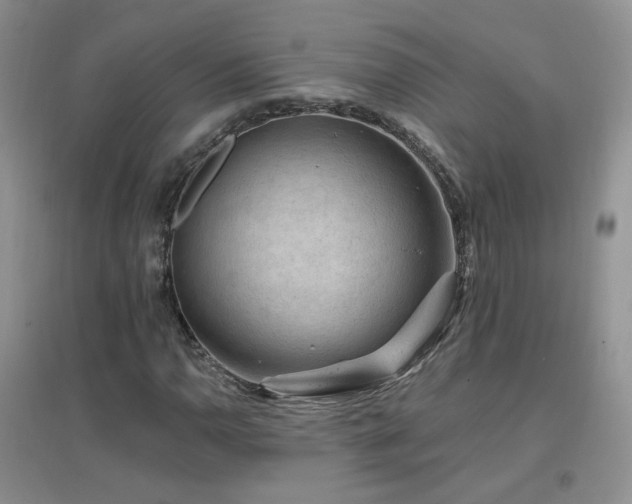 X0000096971110200802081246