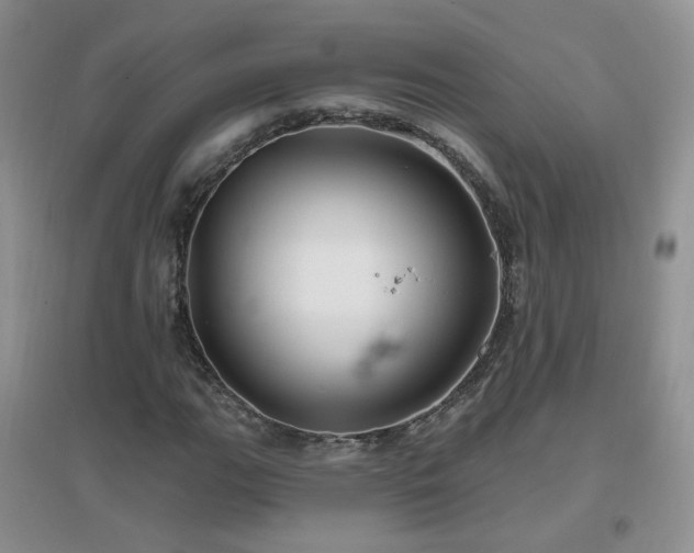 X0000096971111200802081246