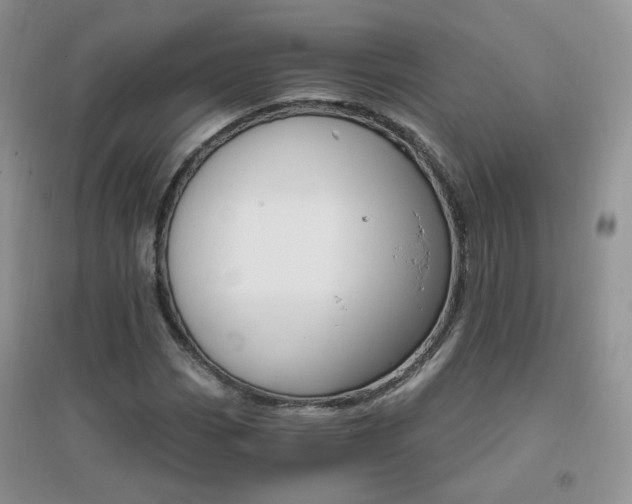 X0000096971113200802081246