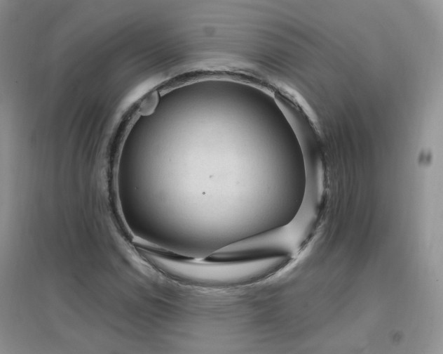 X0000096971114200802081246