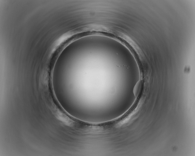 X0000096971115200802081246