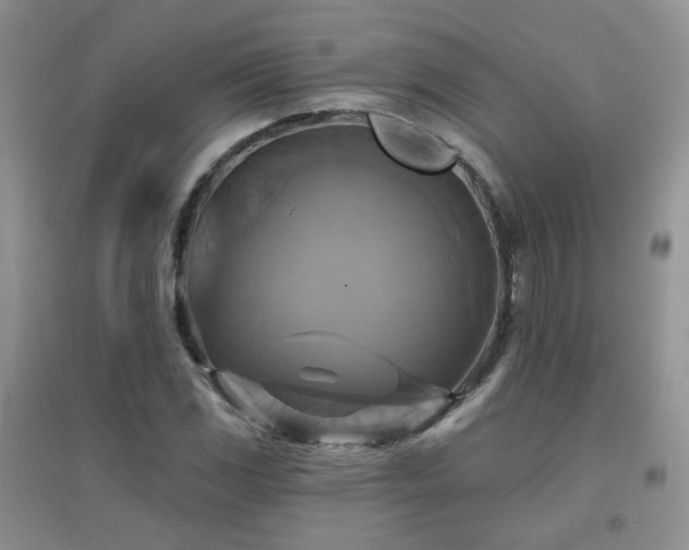 X0000096971117200802081246