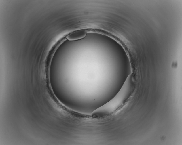 X0000096971118200802081246