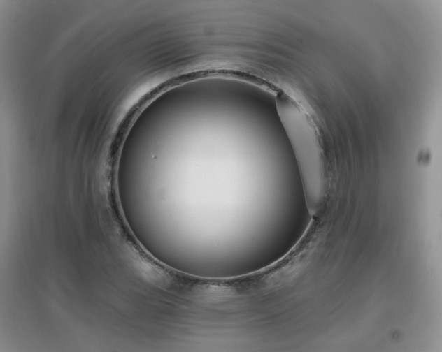 X0000096971119200802081246