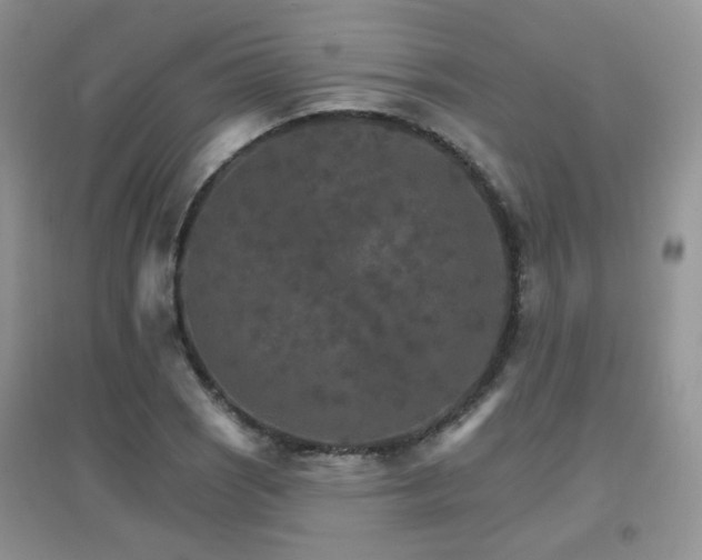X0000096971121200802081246