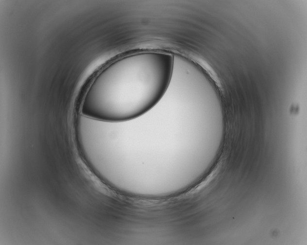 X0000096971122200802081246