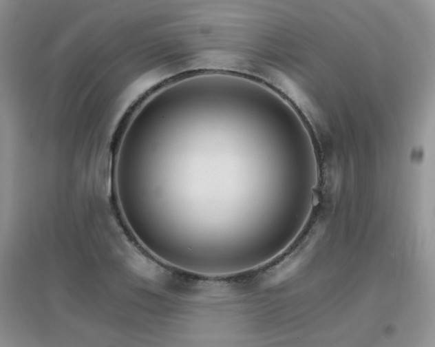 X0000096971123200802081246