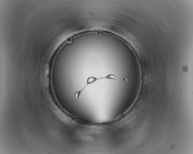 X0000096971126200802081246