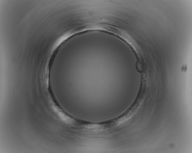 X0000096971127200802081246