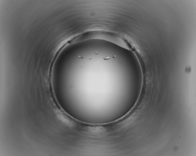 X0000096971129200802081246
