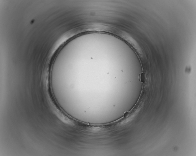 X0000096971130200802081246