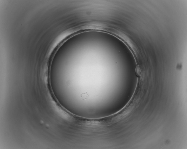 X0000096971131200802081246