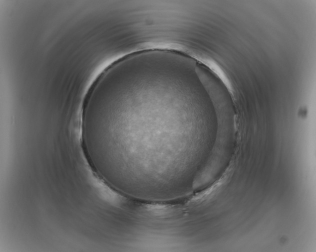 X0000096971132200802081246