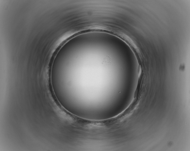 X0000096971133200802081246