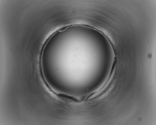 X0000096971134200802081246