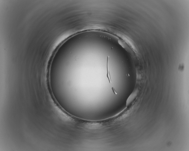 X0000096971135200802081246