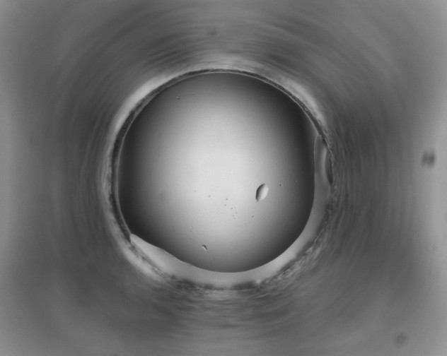 X0000096971136200802081246