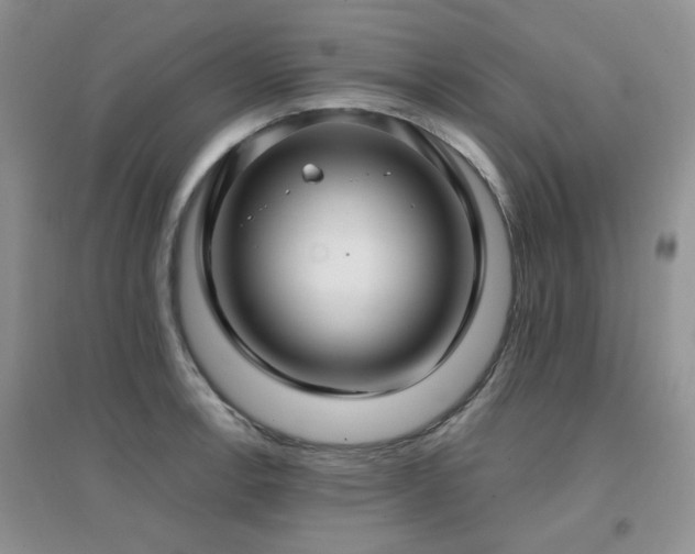 X0000096971138200802081246