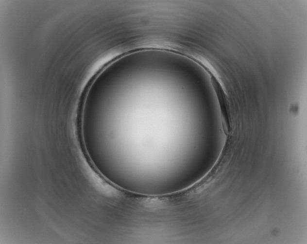 X0000096971139200802081246