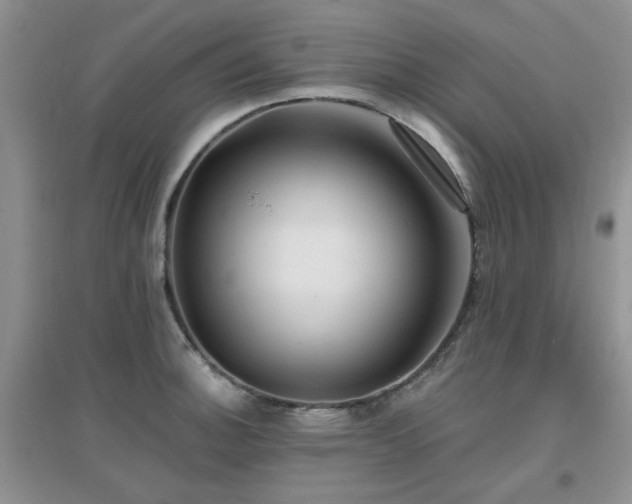 X0000096971140200802081246