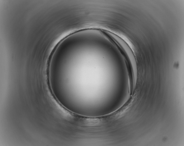 X0000096971142200802081246