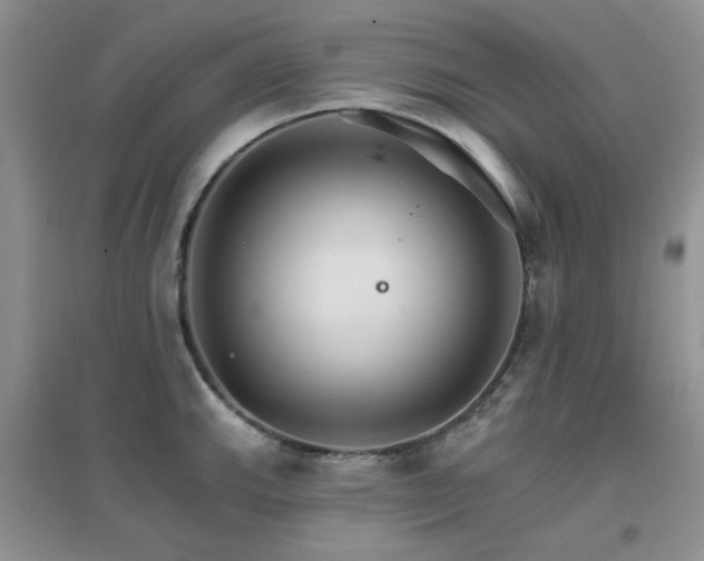 X0000096971143200802081246