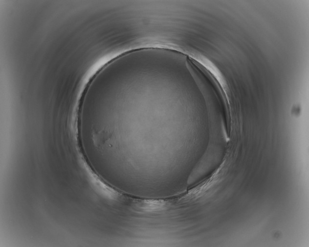 X0000096971144200802081246
